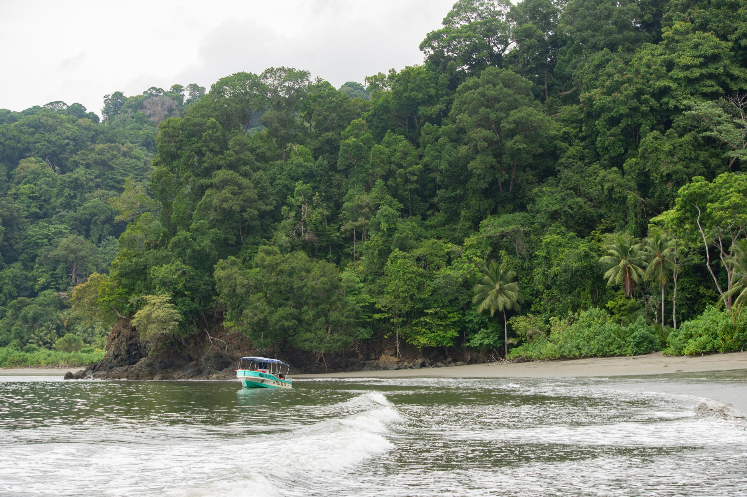 Mangrove & Violines Island Full-Day Tour - Photo 2