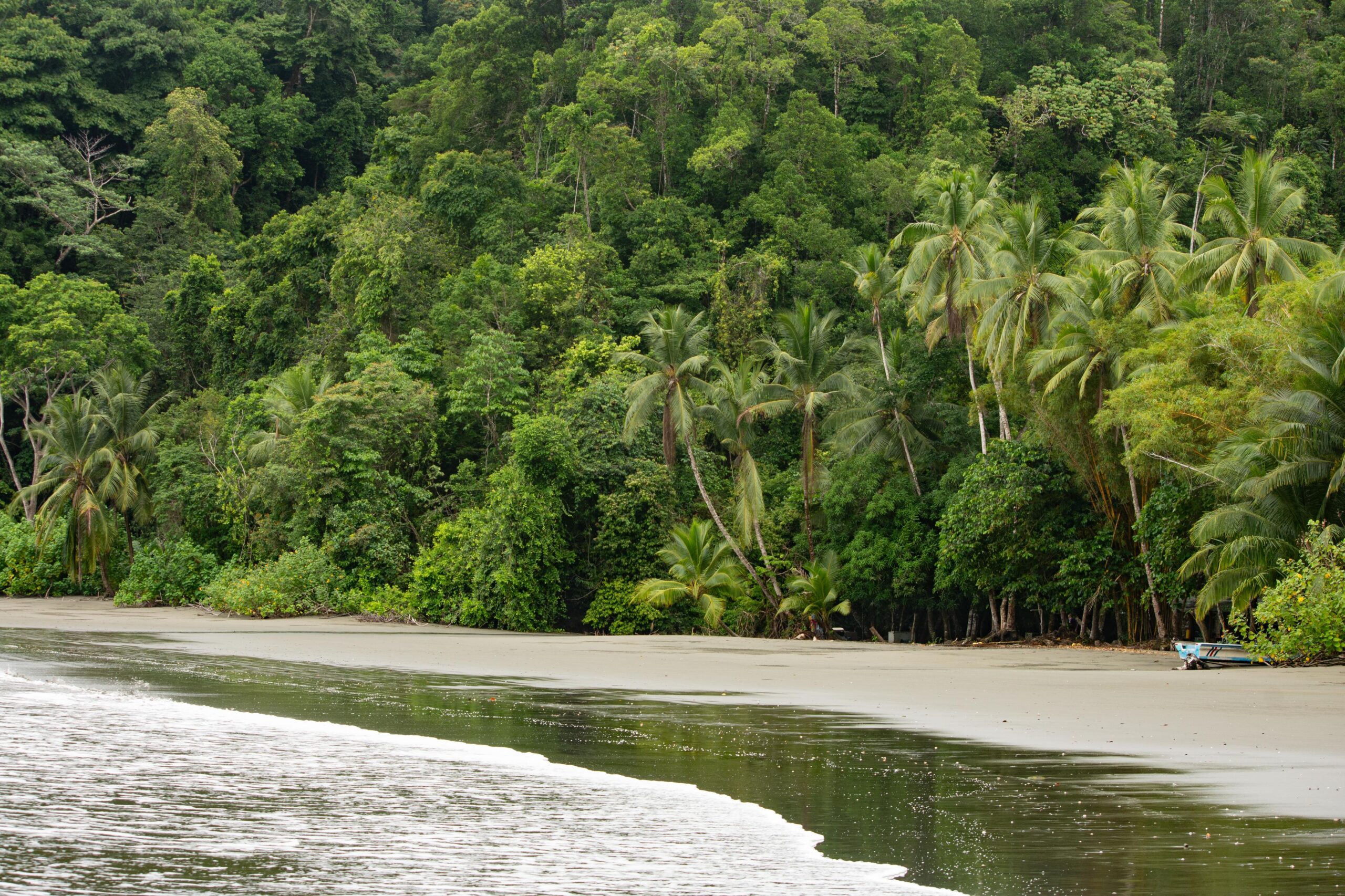 Mangrove & Violines Island Full-Day Tour - Photo 1