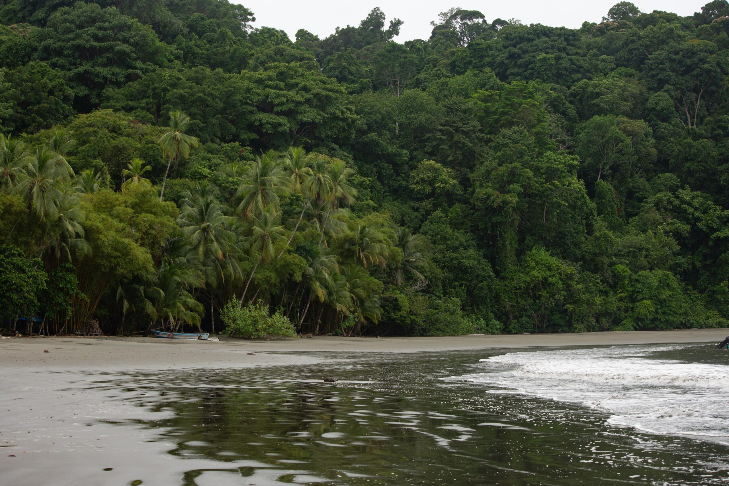 Mangrove & Violines Island Full-Day Tour