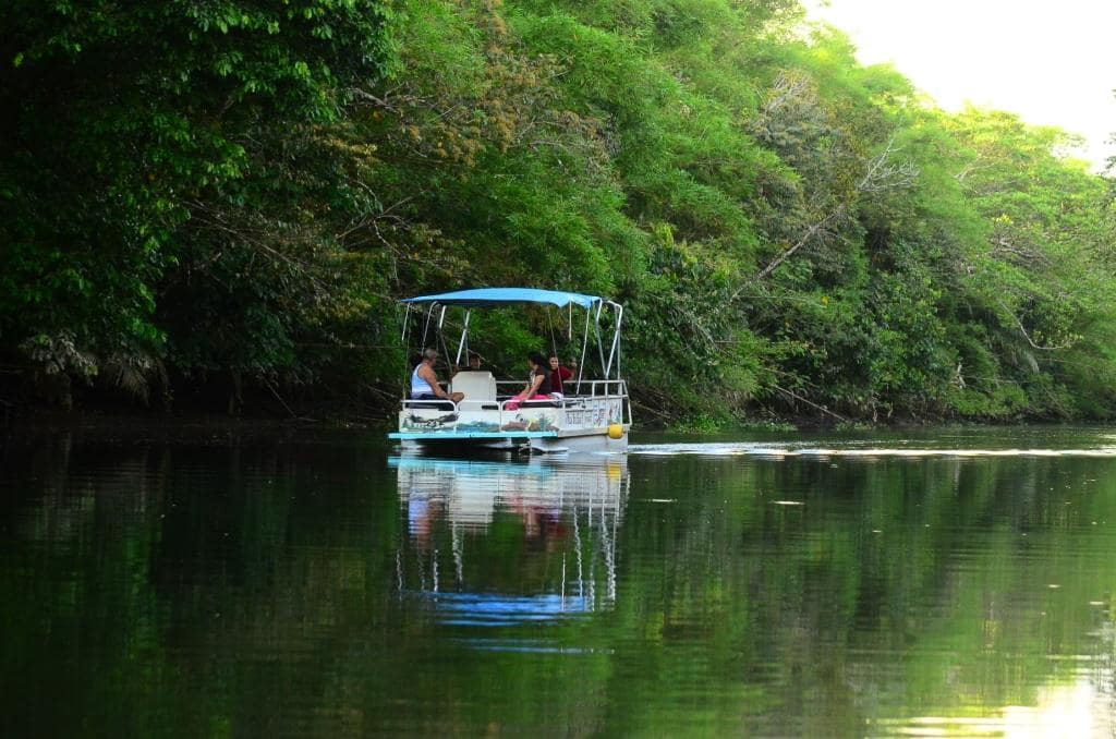 Sierpe Mangrove Waterway Costa Rica